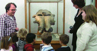 Kinder beim Ansehen des Mammutschädel im Museum