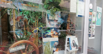 Mit Pflanzen, Postkarten, Sonnenbrillen und Steuerrad dekoriertes Schaufenster