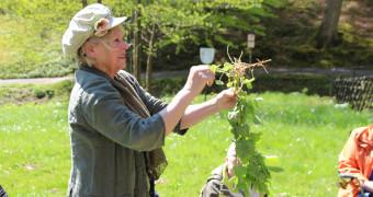 Wildkräuterführung mit Dorisa Winkenbach