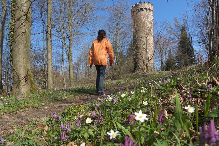 Hirschkopf / Magmakammer / Lößhohlweg