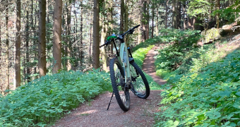 Ein Fahrrad im Wald