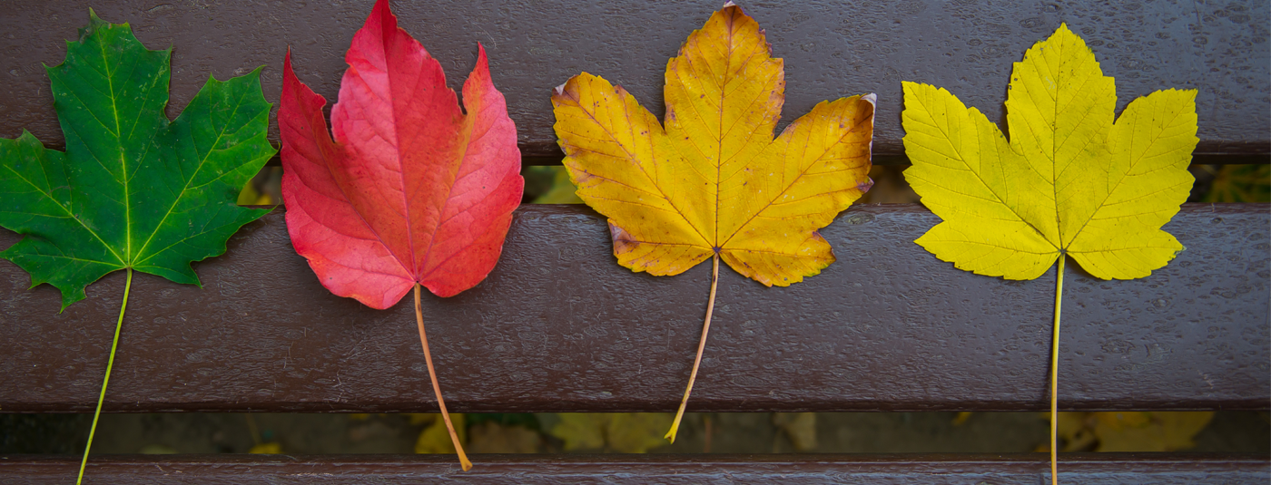 Frühling