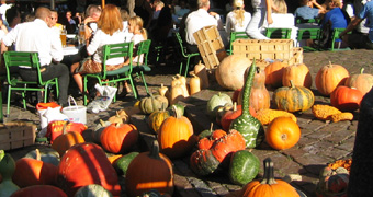 Weinheimer Herbst - Kürbisse auf dem Marktplatz