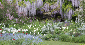 Blumen im Hermannshof