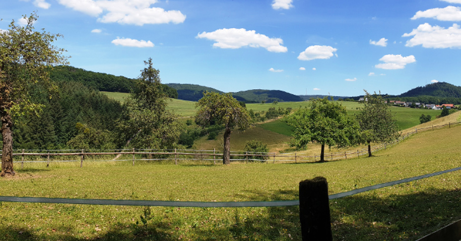 Blick in Richtung Steinklingen