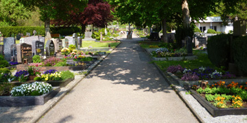 Friedhof Sulzbach