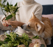 Eine Frau bindet einen Blumenstrauß während ihr Hund an den Blumen schnuppert.