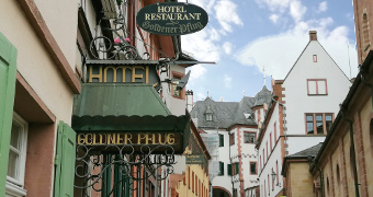 Historisches Schild des Hotels Goldener Pflug, im Hintergrund das Berckheimer Schloss