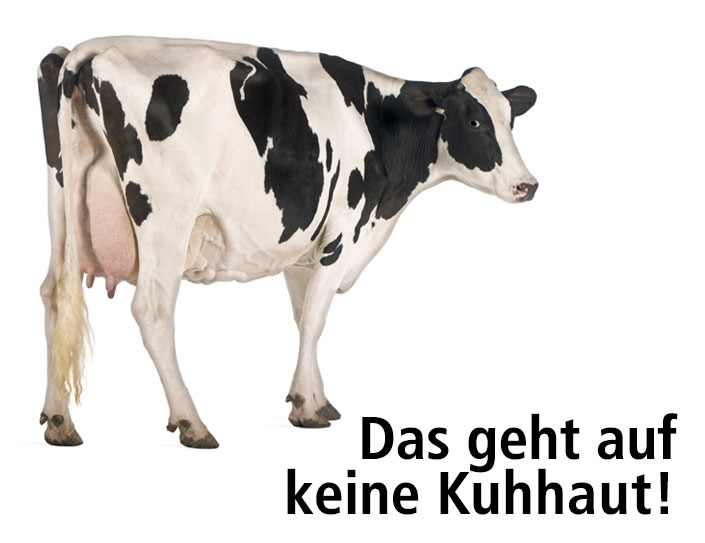 Das Geht Auf Keine Kuhhaut Bedeutung