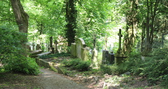 Gräbstätten im Alten Friedhof