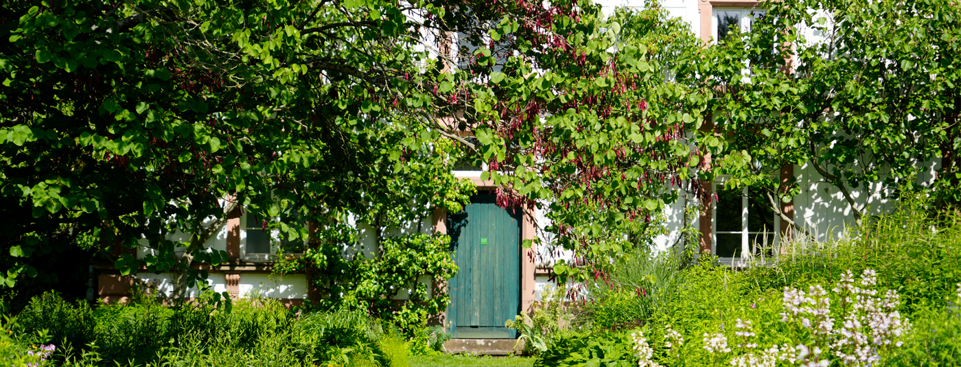 Frühling