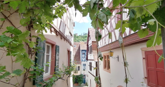 Blick zur Windeck mit Fackwerkhäusern und Weinranken