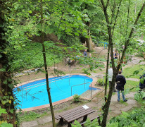 Wasserbecken im Exotenwald