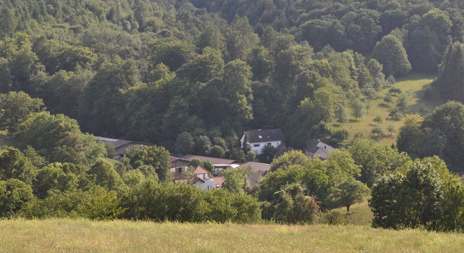 Blick auf Heiligkreuz