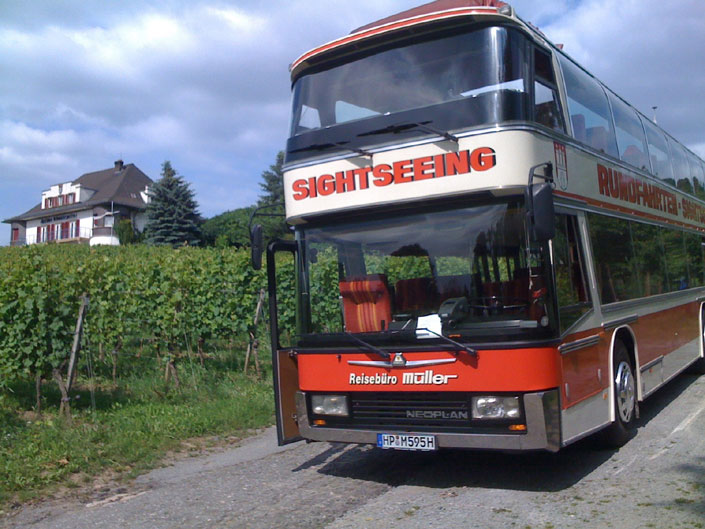 Roter Doppeldecker-Reisebus vor den Weinbergen des Rebmuttergartens