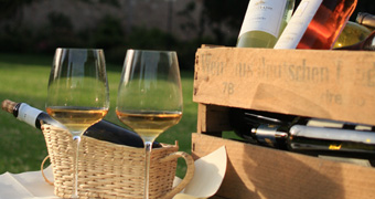 Weingläser und Weinkiste mit Weinflaschen auf der Wiese im Schlosspark