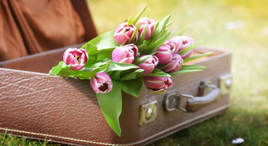 Brauner Reisekoffer gefüllt mit einem Strauß pinkfarbener Tulpen auf einer grünen Wiese