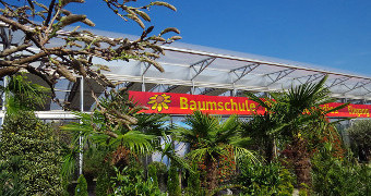 Rotes Banner mit gelber Schrift zwischen Palmen