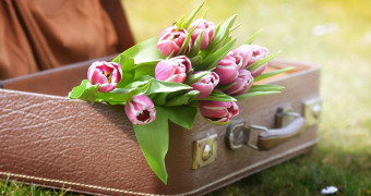 Brauner Reisekoffer gefüllt mit einem Strauß pinkfarbener Rosen auf einer Wiese